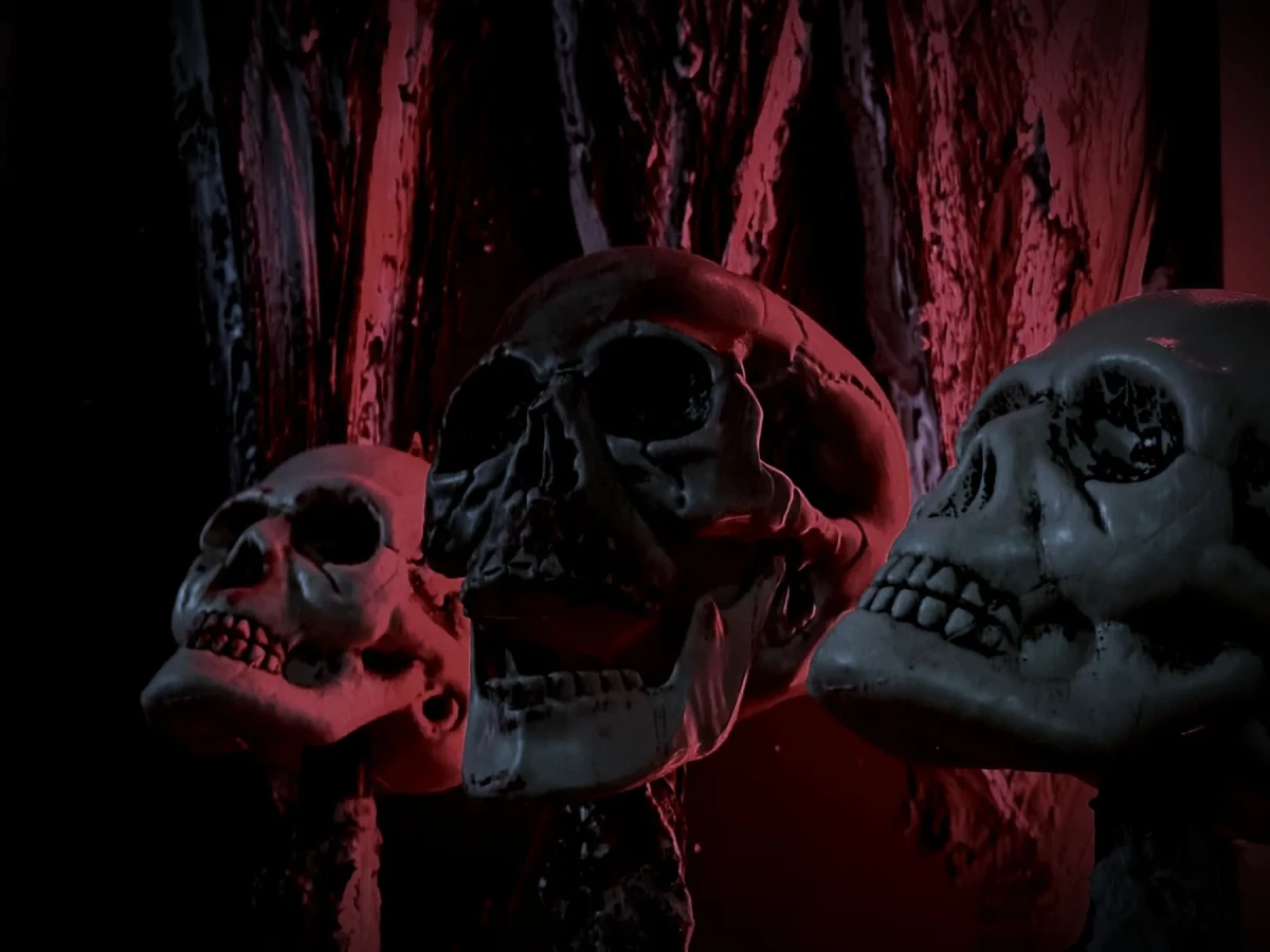 квест 5 квест 5