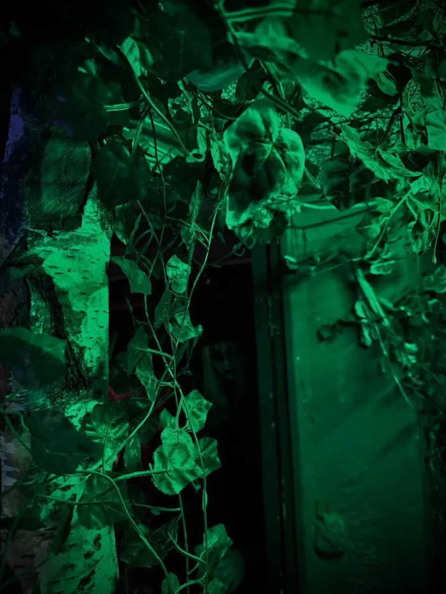 Квест-перфоманс «OUTLAST II» Квест-перфоманс «OUTLAST II»